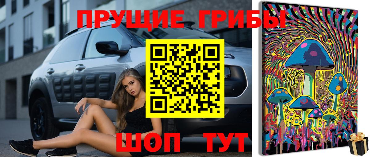 Троицк  Галлюциногенные грибы ЛСД  Вход с VPN 